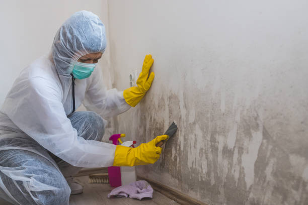 Best Residential Mold Removal  in Riverbank, CA