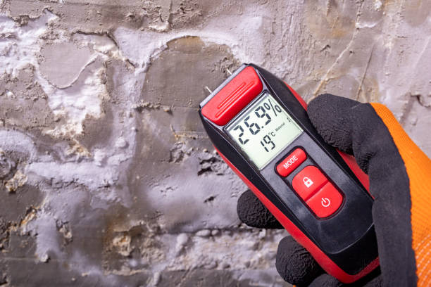 Best Certified Mold Removal  in Riverbank, CA