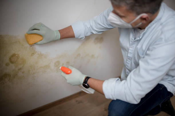 Best Crawl Space Mold Removal  in Riverbank, CA