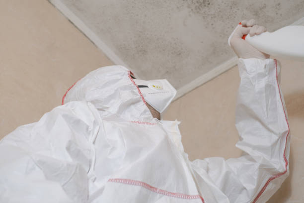 Best Toxic Mold Removal  in Riverbank, CA