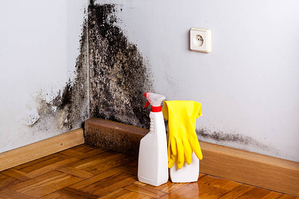 Best Black Mold Removal  in Riverbank, CA